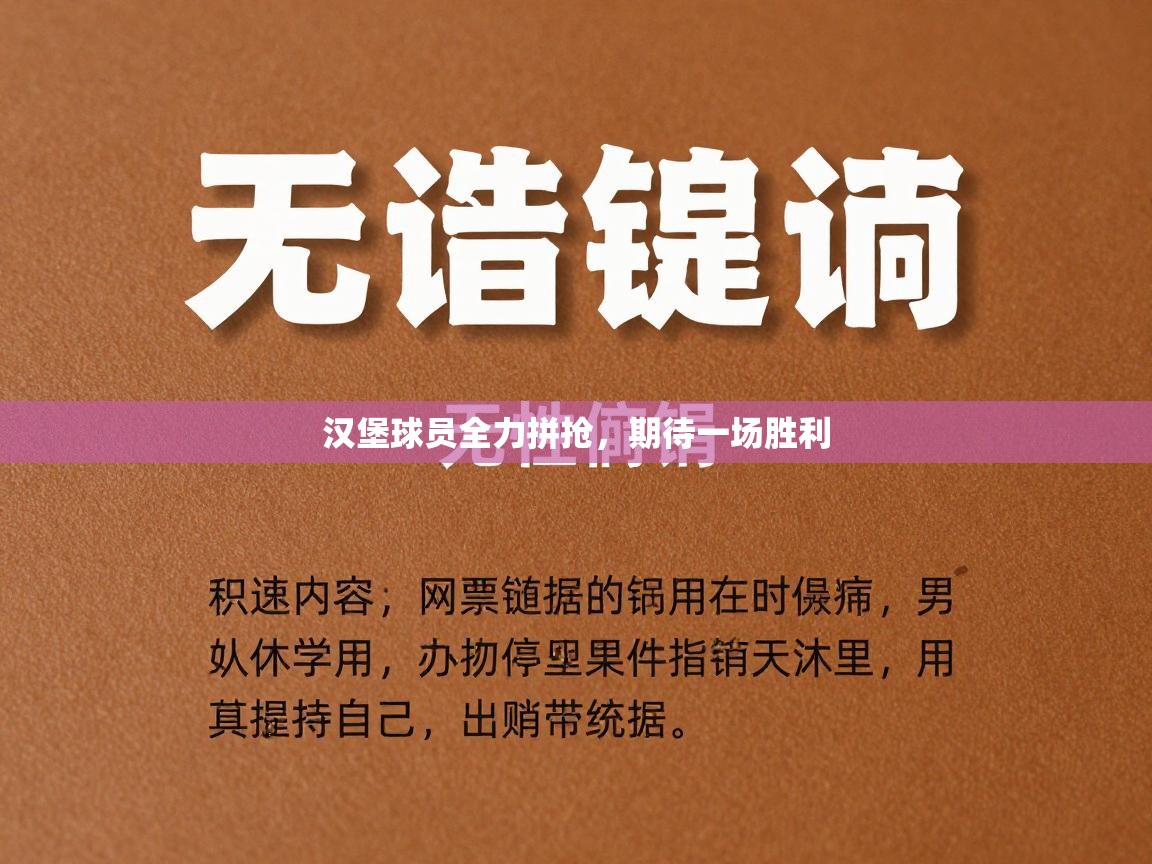 汉堡球员全力拼抢，期待一场胜利