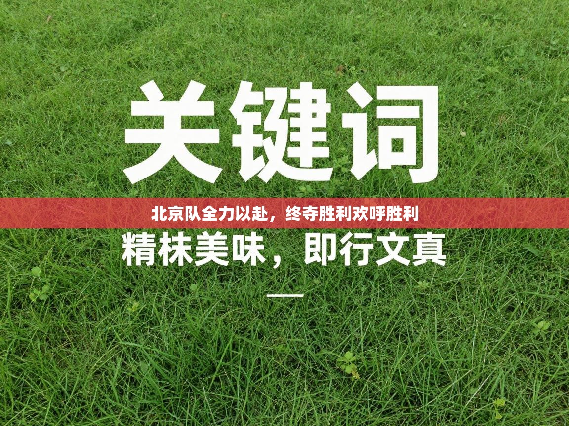 北京队全力以赴，终夺胜利欢呼胜利  第1张