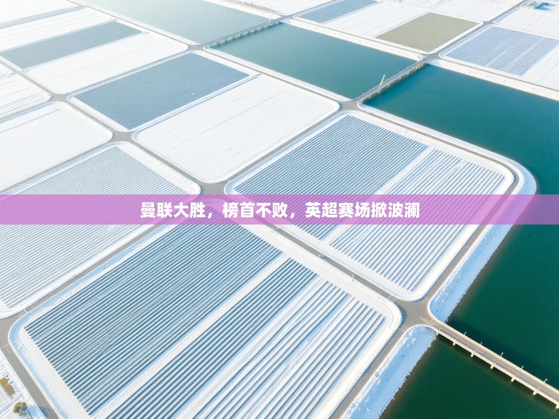 曼联大胜,榜首不败,英超赛场掀波澜 第2张