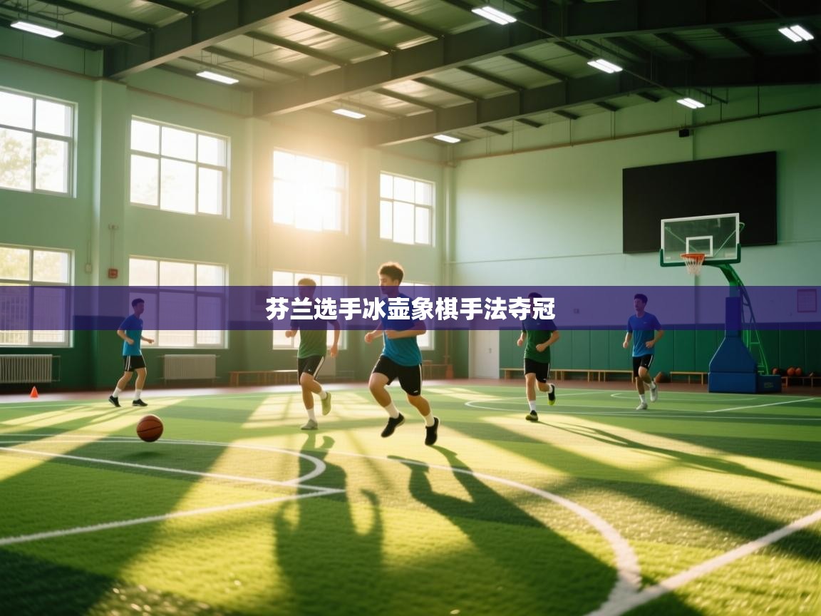 芬兰选手冰壶象棋手法夺冠